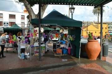 Día del Artesano y Labrador en Jinámar (Foto TA)